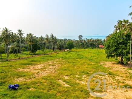 20,544m²/ 12 Rai Sea View Land With Unfinished Project - Bang Por, Koh Samui, Thailand